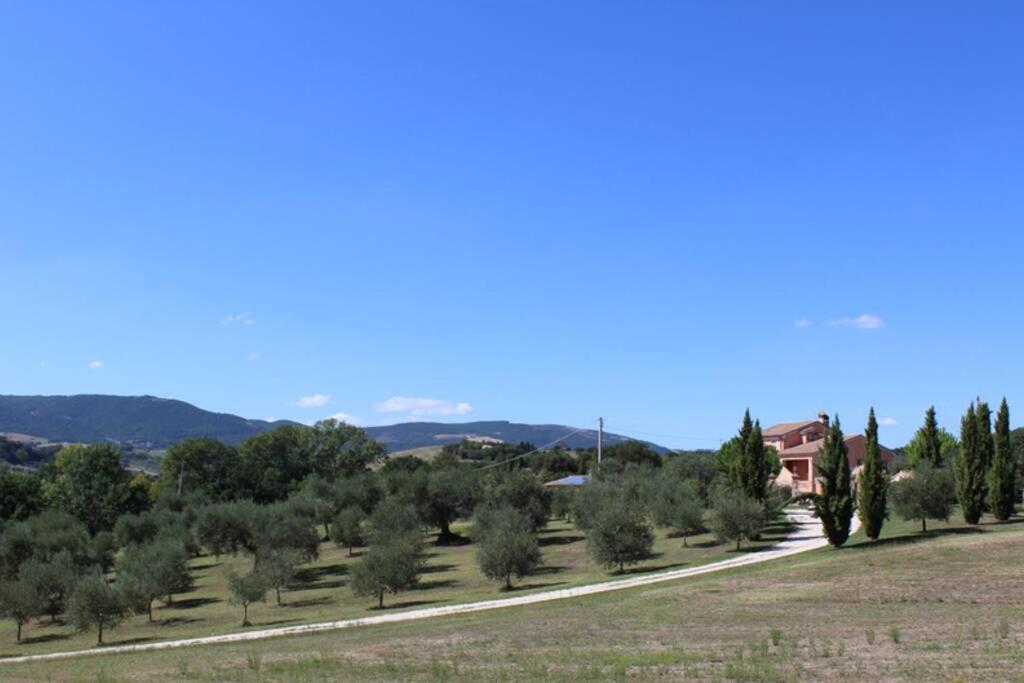 Casa Kikenda, Viaggio Nella Natura Treia Exterior foto